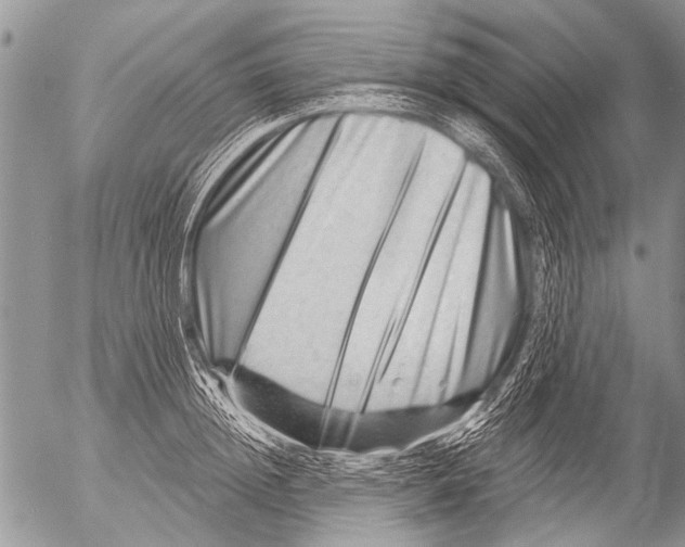 X0000054460852200508270102