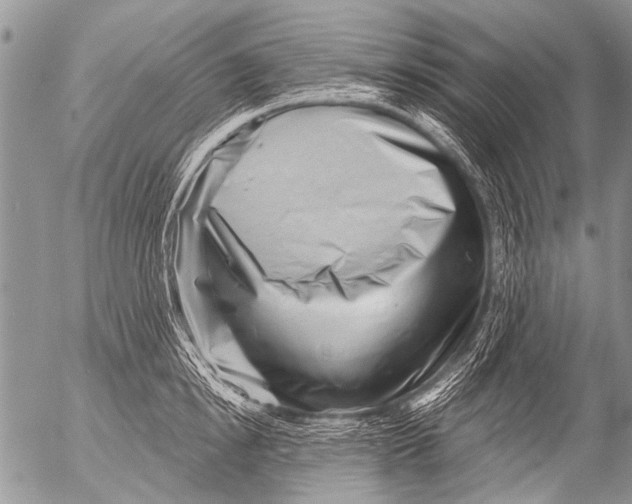 X0000054460854200508270102