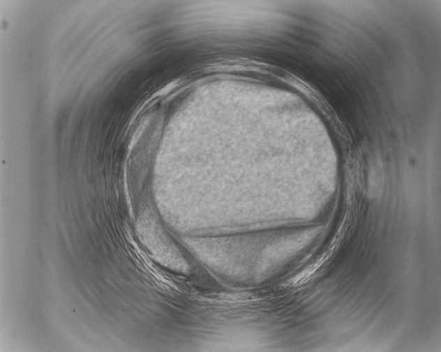 X0000054460857200508270102