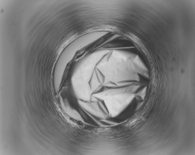 X0000054460858200508270102