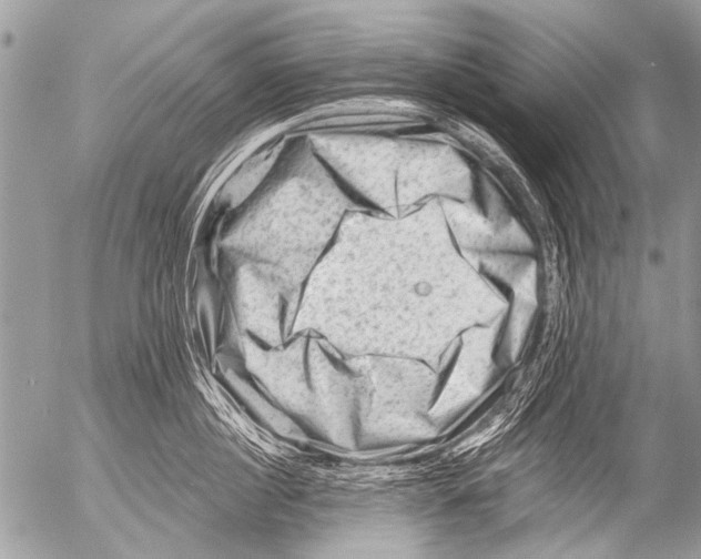 X0000054460860200508270102