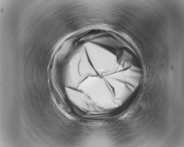 X0000054460862200508270102