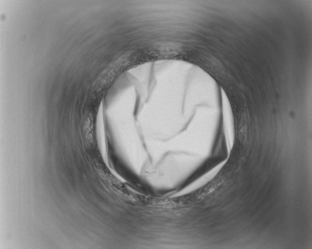 X0000054460866200508270101