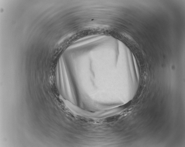 X0000054460869200508270101