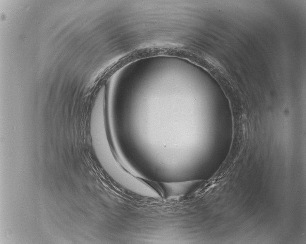 X0000054460872200508270101