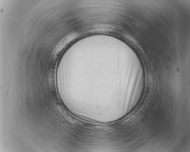 X0000054460874200508270101