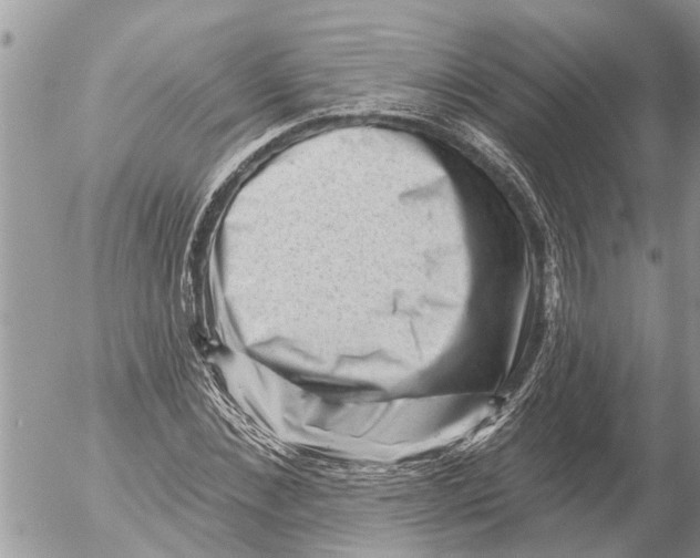 X0000054460876200508270101