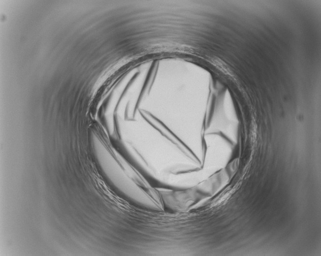 X0000054460877200508270101