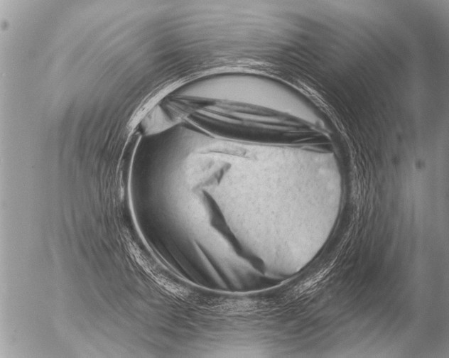 X0000054460885200508270101