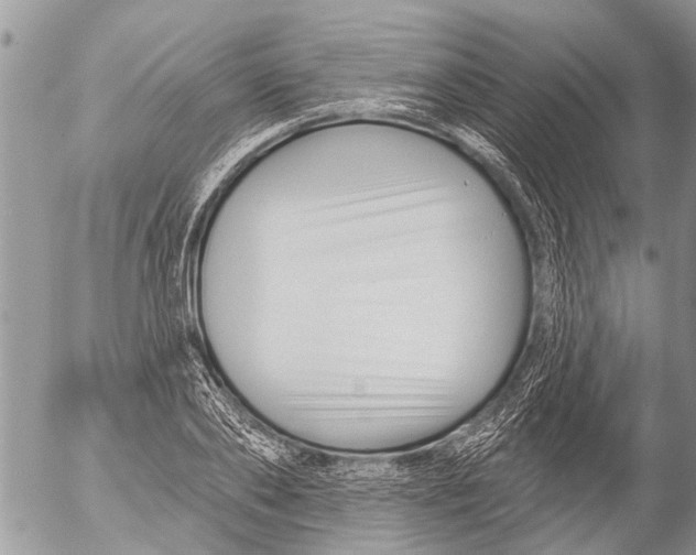 X0000054460886200508270101
