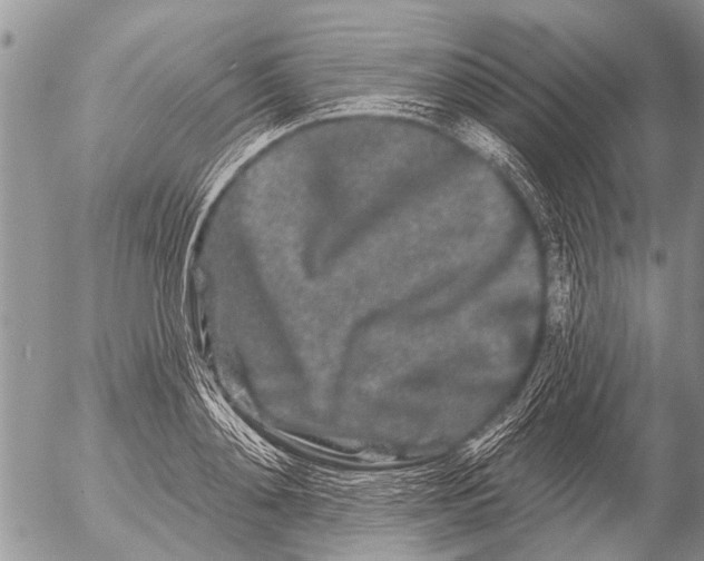 X0000054460892200508270101