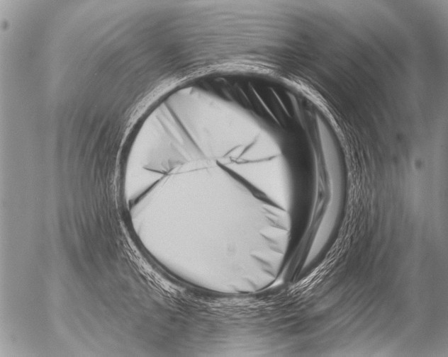 X0000054460902200508270101