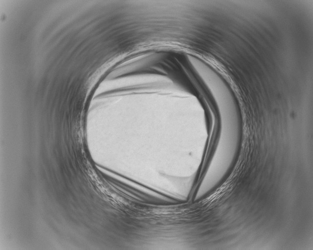 X0000054460904200508270101