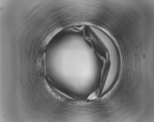 X0000054460905200508270101