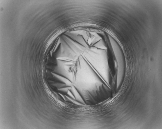 X0000054460906200508270101