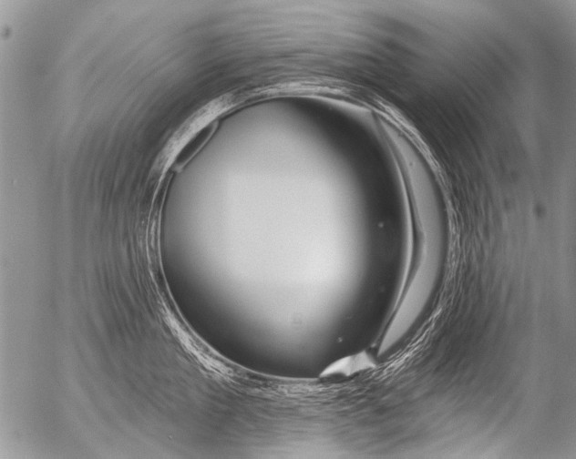 X0000054460909200508270101