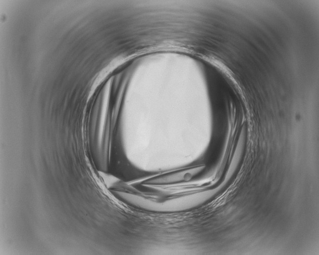 X0000054460910200508270101