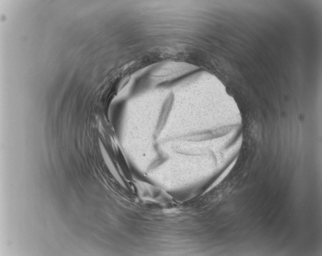 X0000054460914200508270100