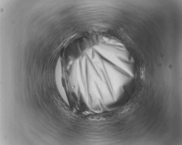 X0000054460915200508270100