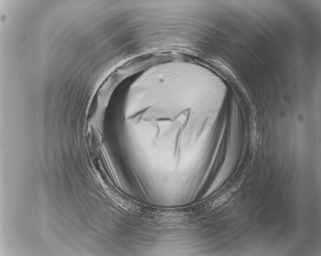 X0000054460924200508270100