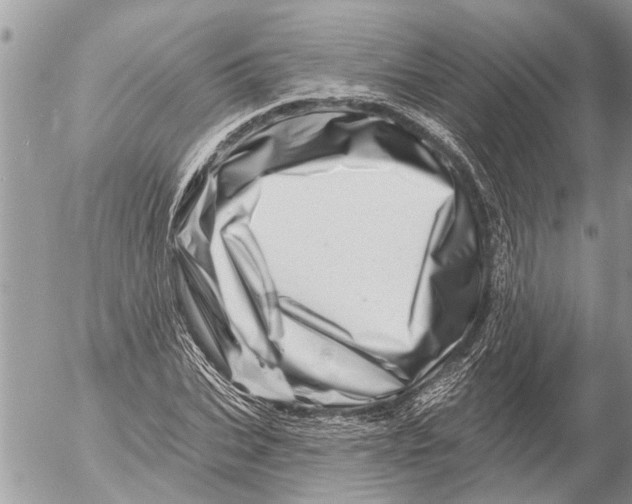 X0000054460927200508270100