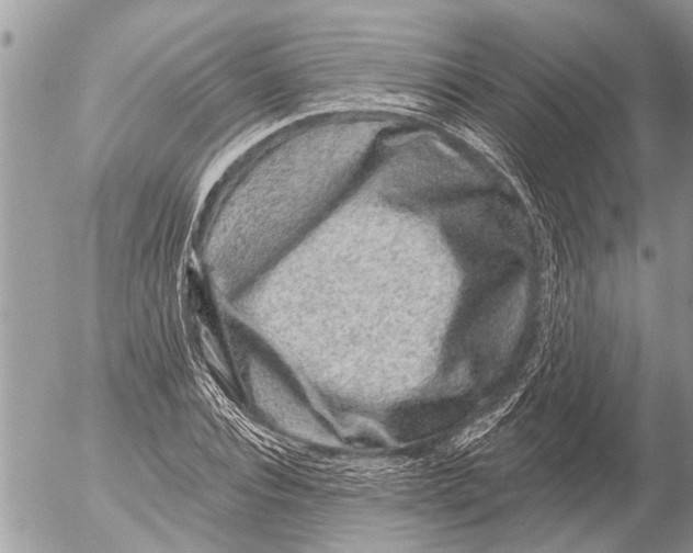 X0000054460928200508270100