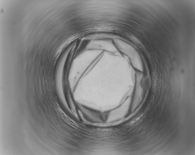 X0000054460930200508270100