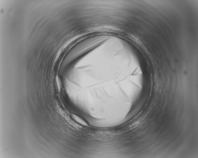 X0000054460931200508270100