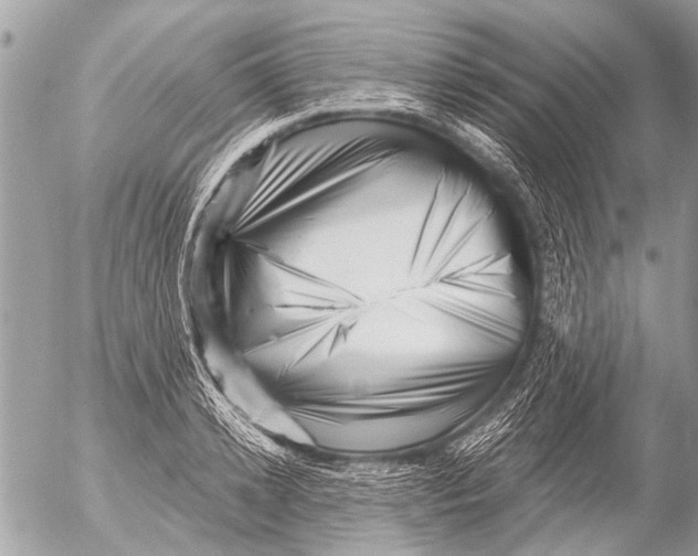 X0000054460942200508270100