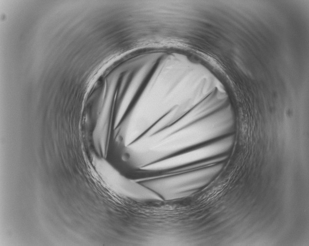 X0000054460943200508270100