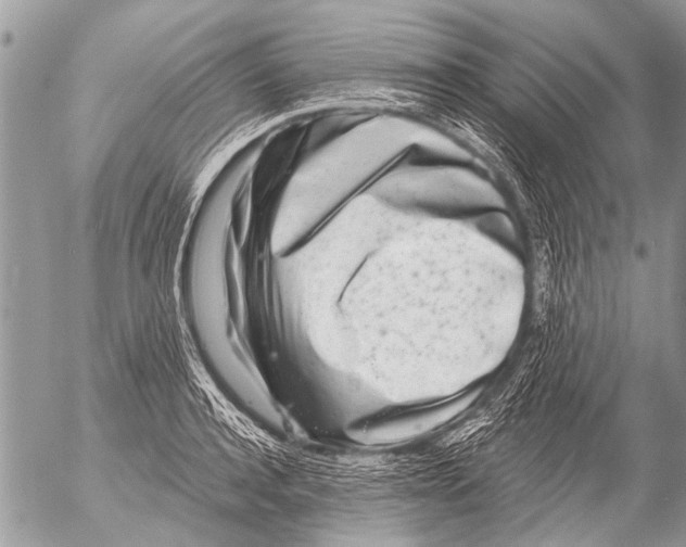 X0000054460944200508270100
