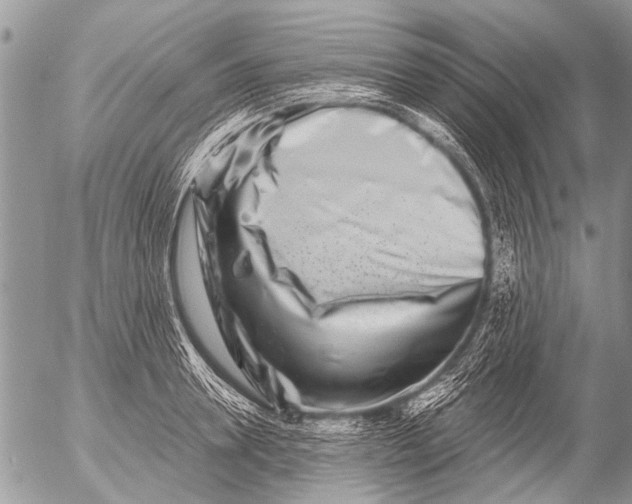X0000054460946200508270100