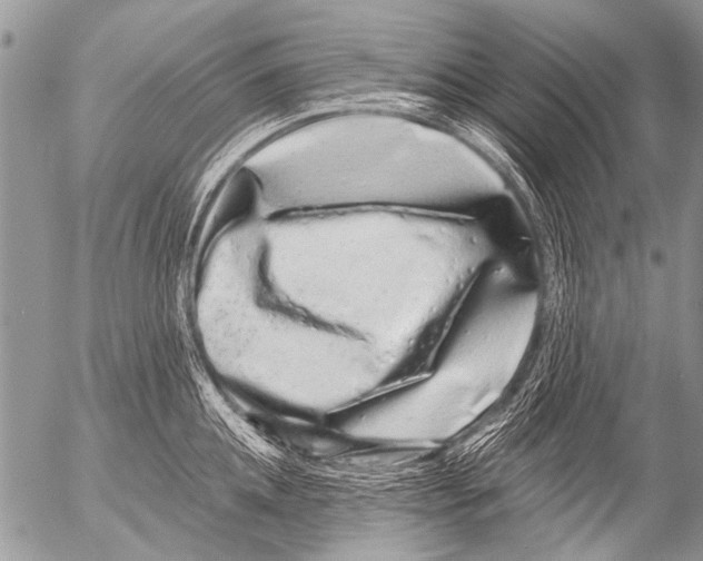 X0000054460952200508270100