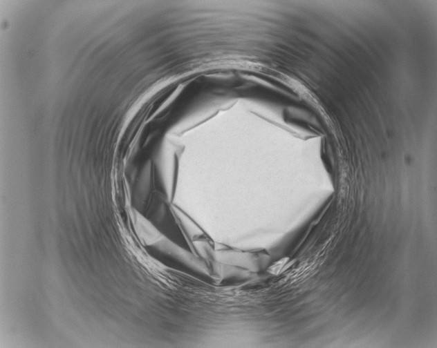 X0000054460955200508270101