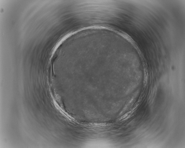 X0000054460958200508270101