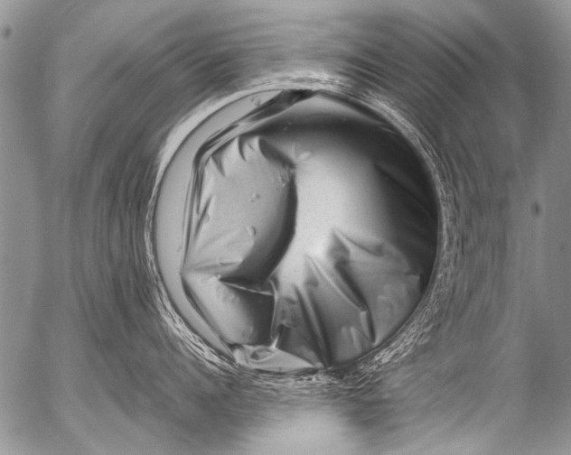 X0000054460960200508270101