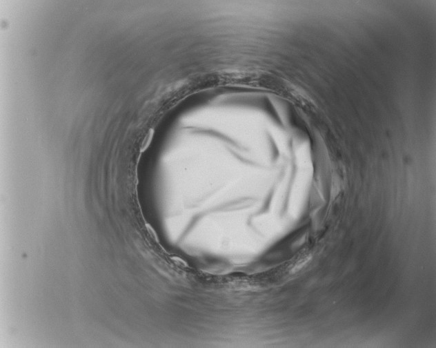 X0000054460961200508270100