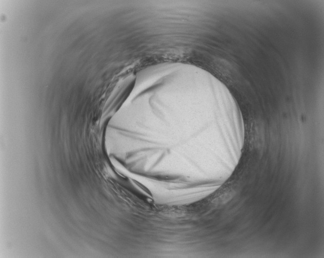 X0000054460962200508270100