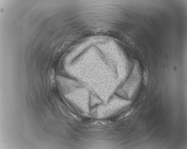 X0000054460963200508270100