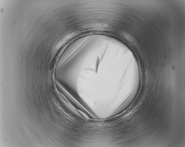 X0000054460970200508270100