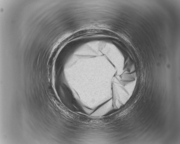 X0000054460974200508270100
