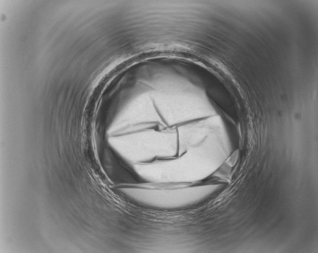 X0000054460975200508270100
