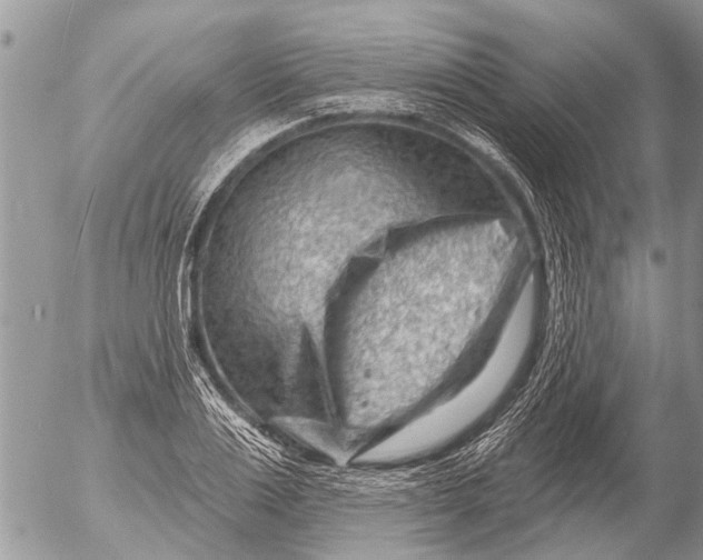 X0000054460983200508270059