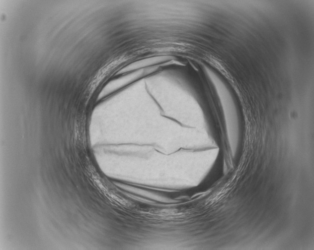 X0000054460986200508270059