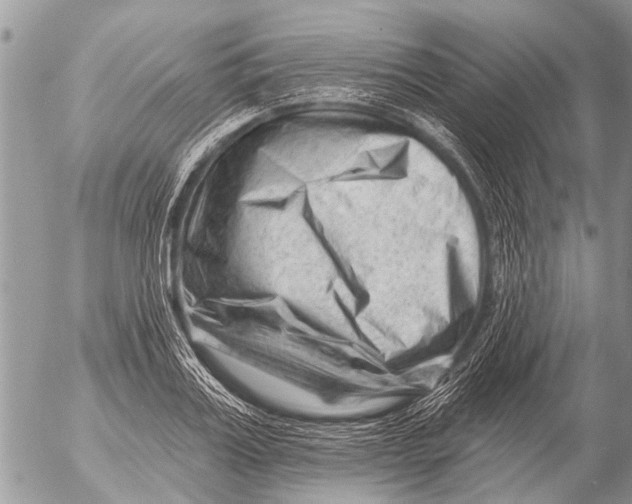 X0000054460987200508270059