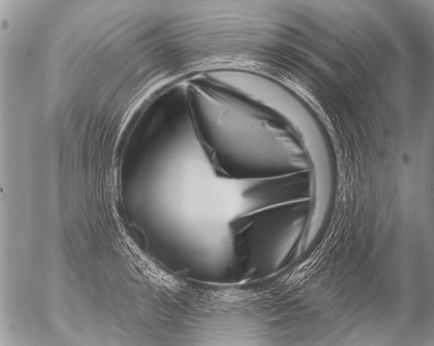 X0000054460992200508270059