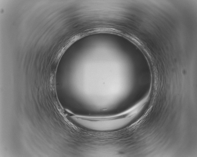 X0000054461001200508270059