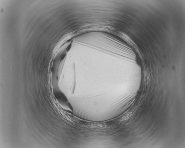 X0000054461002200508270059