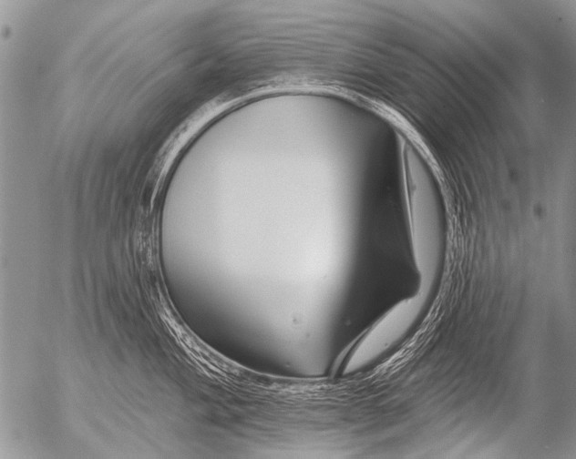 X0000054461004200508270059
