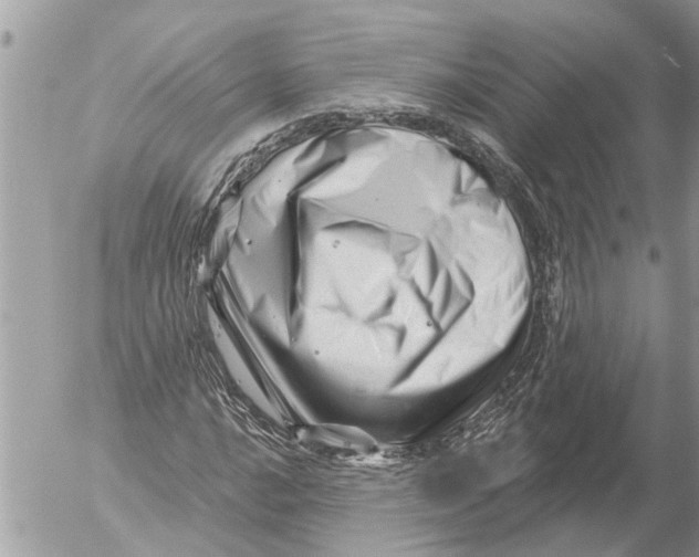 X0000054461016200508270058